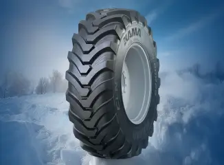 Сельхоз и спецшины