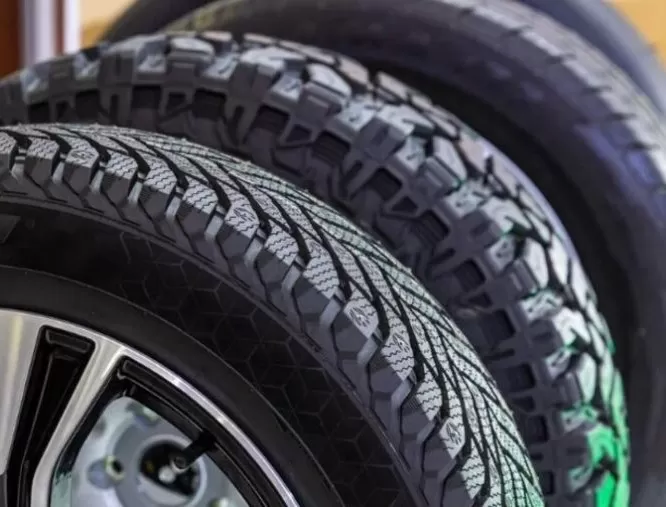 Готовим зиму летом