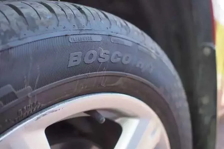 Viatti Bosco H/T вышли в новых размерах