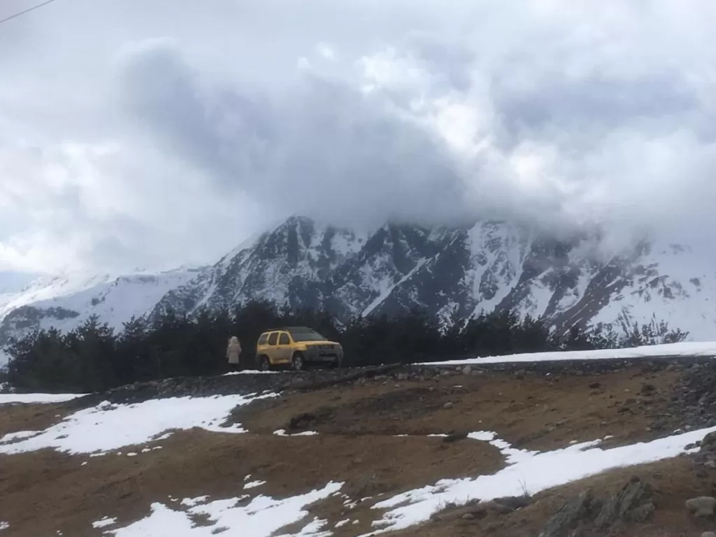 Viatti_2.jpg Viatti_2.jpg