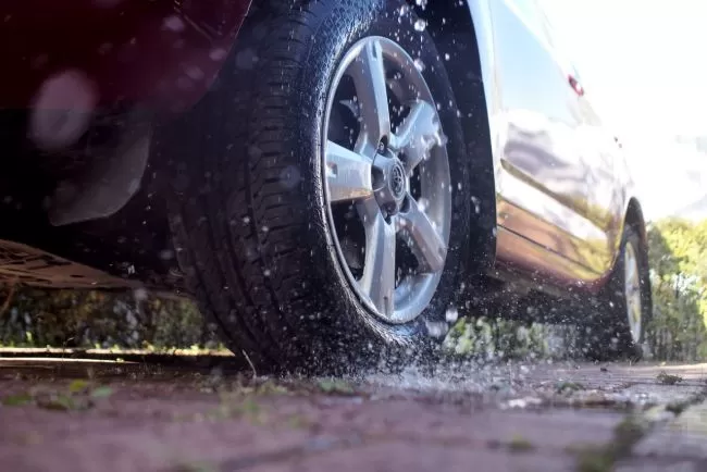 Viatti Bosco H/T V-238